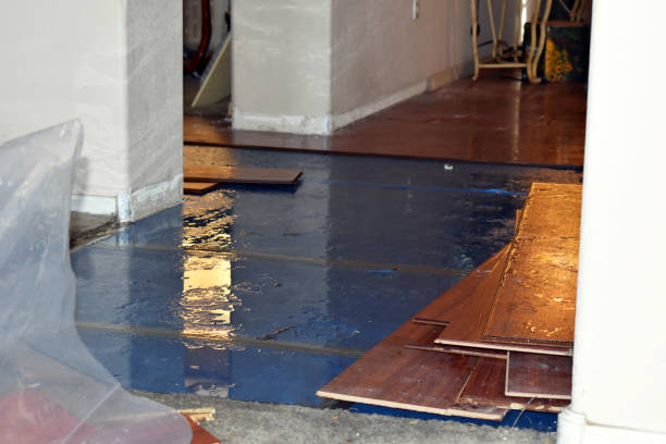 Professional Burst Pipe Water Damage technician working in Ecru, MS